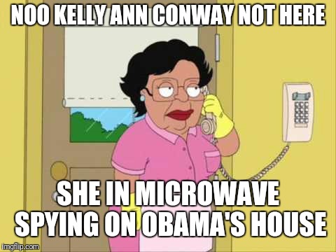 Consuela Meme | NOO KELLY ANN CONWAY NOT HERE; SHE IN MICROWAVE SPYING ON OBAMA'S HOUSE | image tagged in memes,consuela | made w/ Imgflip meme maker