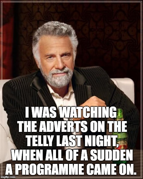 The Most Interesting Man In The World | I WAS WATCHING THE ADVERTS ON THE TELLY LAST NIGHT, WHEN ALL OF A SUDDEN A PROGRAMME CAME ON. | image tagged in memes,the most interesting man in the world | made w/ Imgflip meme maker