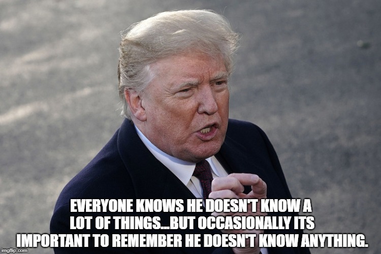 EVERYONE KNOWS HE DOESN'T KNOW A LOT OF THINGS...BUT OCCASIONALLY ITS IMPORTANT TO REMEMBER HE DOESN'T KNOW ANYTHING. | image tagged in trump is an idiot | made w/ Imgflip meme maker