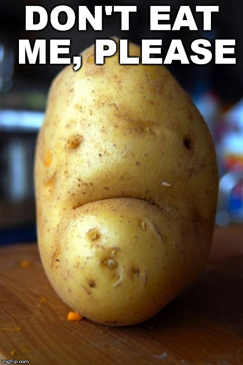 sad potato | DON'T EAT ME, PLEASE | image tagged in sad potato | made w/ Imgflip meme maker