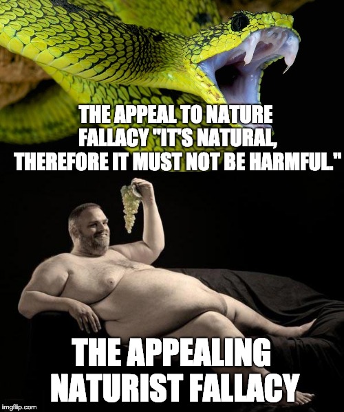 Know your logical fallacies | THE APPEAL TO NATURE FALLACY "IT'S NATURAL, THEREFORE IT MUST NOT BE HARMFUL."; THE APPEALING NATURIST FALLACY | image tagged in logical | made w/ Imgflip meme maker
