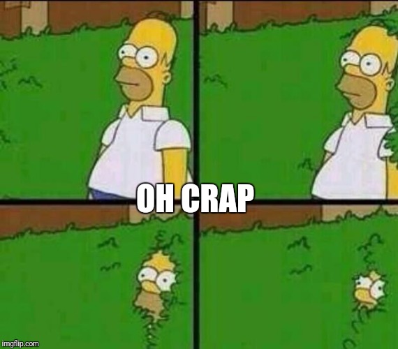 Homer Simpson in Bush - Large | OH CRAP | image tagged in homer simpson in bush - large | made w/ Imgflip meme maker