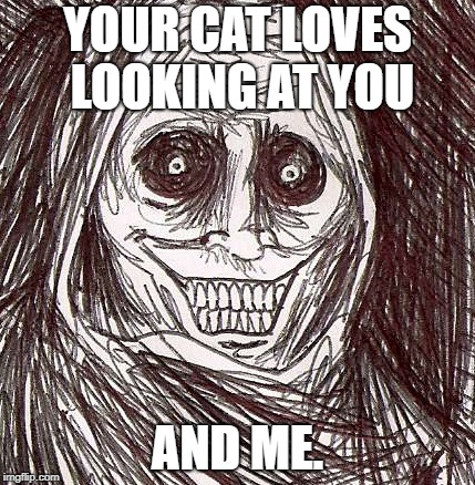 Unwanted House Guest Meme | YOUR CAT LOVES LOOKING AT YOU; AND ME. | image tagged in memes,unwanted house guest | made w/ Imgflip meme maker
