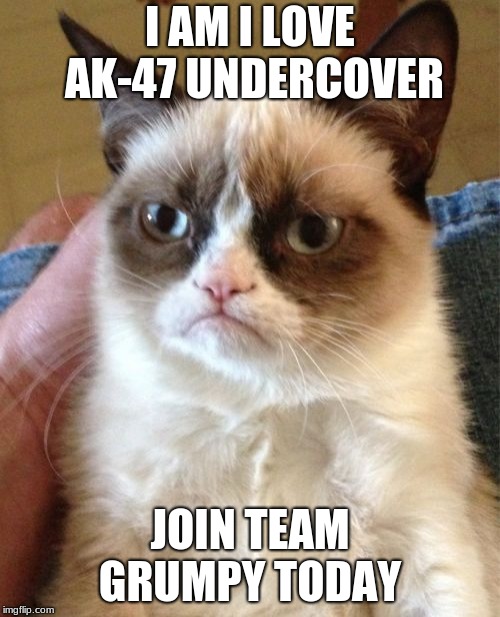 Grumpy Cat | I AM I LOVE AK-47 UNDERCOVER; JOIN TEAM GRUMPY TODAY | image tagged in memes,grumpy cat,team,grumpy | made w/ Imgflip meme maker