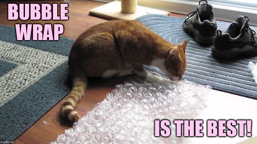 BUBBLE WRAP IS THE BEST! | made w/ Imgflip meme maker