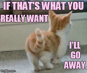 IF THAT'S WHAT YOU I'LL GO AWAY. REALLY WANT | made w/ Imgflip meme maker