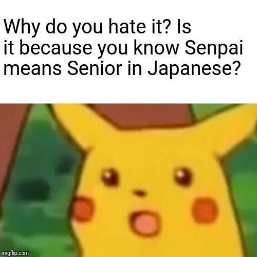 Surprised Pikachu Meme | Why do you hate it? Is it because you know Senpai means Senior in Japanese? | image tagged in memes,surprised pikachu | made w/ Imgflip meme maker