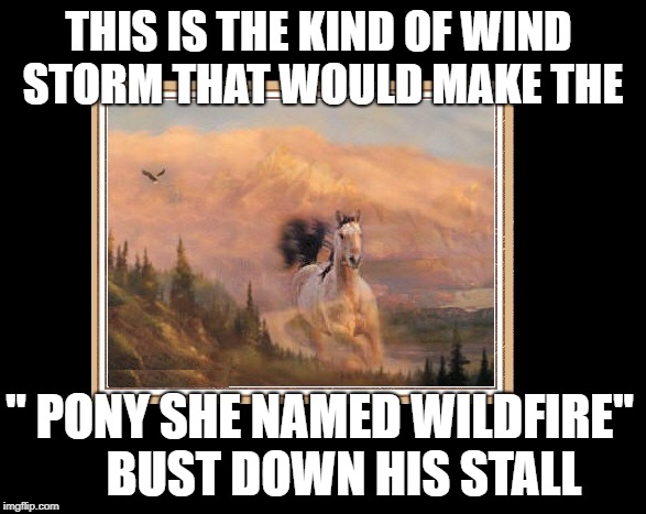 THIS IS THE KIND OF WIND STORM THAT WOULD MAKE THE; " PONY SHE NAMED WILDFIRE"     BUST DOWN HIS STALL | image tagged in wildfire | made w/ Imgflip meme maker