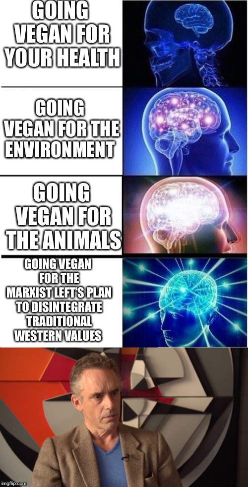 GOING VEGAN FOR YOUR HEALTH; GOING VEGAN FOR THE ENVIRONMENT; GOING VEGAN FOR THE ANIMALS; GOING VEGAN FOR THE MARXIST LEFT’S PLAN TO DISINTEGRATE TRADITIONAL WESTERN VALUES | image tagged in memes,expanding brain,jordan peterson | made w/ Imgflip meme maker