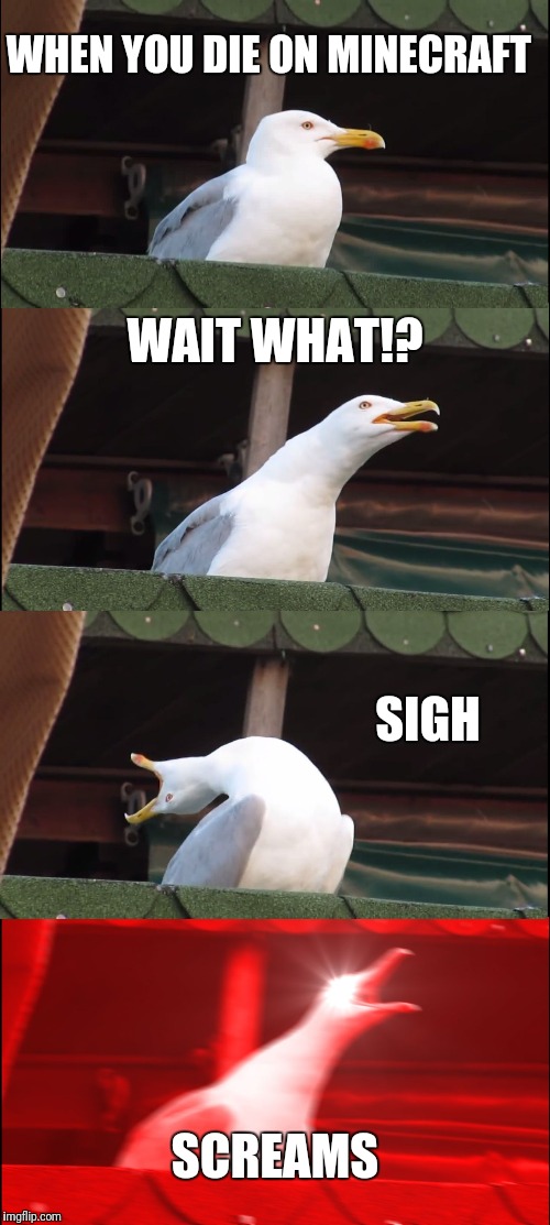 Inhaling Seagull Meme |  WHEN YOU DIE ON MINECRAFT; WAIT WHAT!? SIGH; SCREAMS | image tagged in memes,inhaling seagull | made w/ Imgflip meme maker