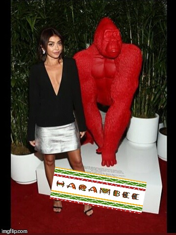 image tagged in harambe shrine | made w/ Imgflip meme maker
