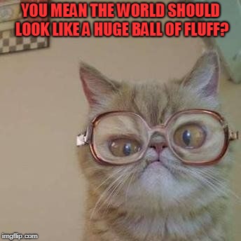 Funny Cat with Glasses | YOU MEAN THE WORLD SHOULD LOOK LIKE A HUGE BALL OF FLUFF? | image tagged in funny cat with glasses | made w/ Imgflip meme maker