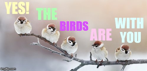 YES! WITH YOU THE BIRDS ARE | made w/ Imgflip meme maker