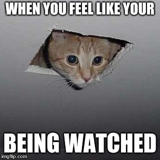 Ceiling Cat Meme | WHEN YOU FEEL LIKE YOUR; BEING WATCHED | image tagged in memes,ceiling cat | made w/ Imgflip meme maker
