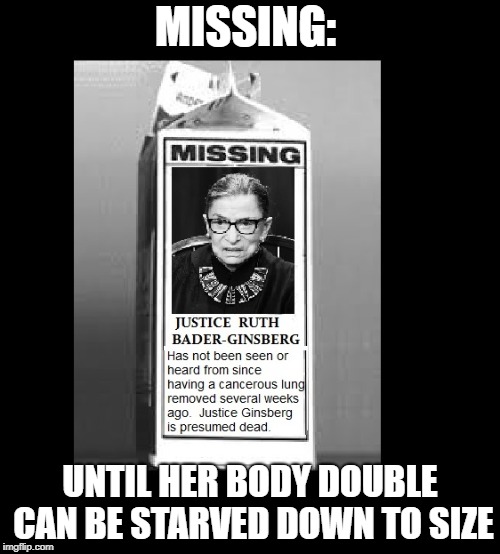 MISSING:; UNTIL HER BODY DOUBLE CAN BE STARVED DOWN TO SIZE | image tagged in ginsberg missing | made w/ Imgflip meme maker