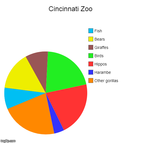 Cincinnati Zoo | Other gorillas, Harambe, Hippos, Birds, Giraffes, Bears, Fish | image tagged in funny,pie charts | made w/ Imgflip chart maker