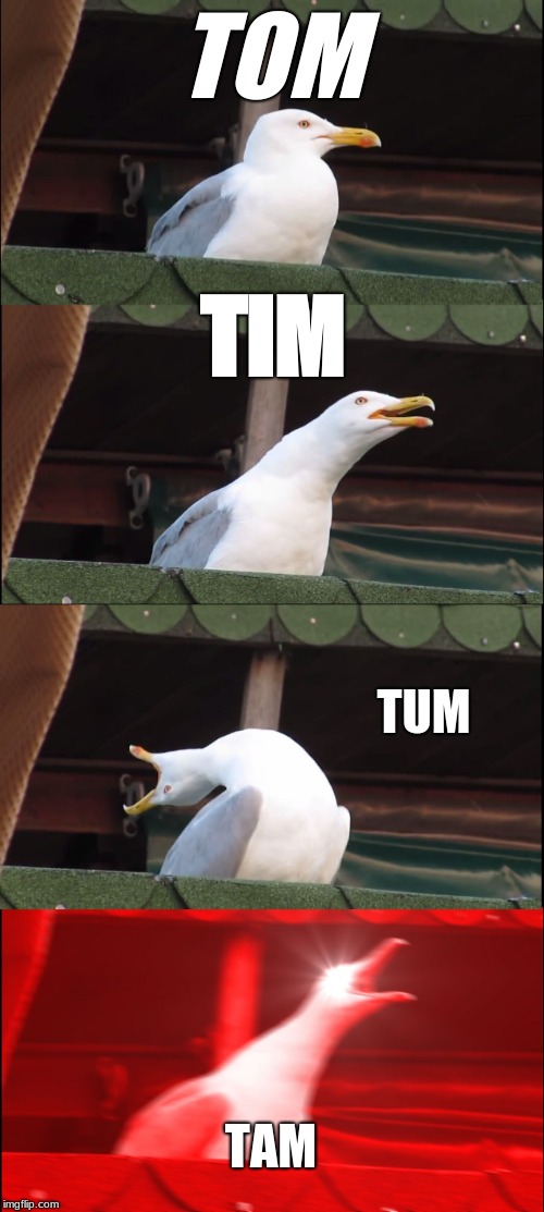 Inhaling Seagull Meme | TOM; TIM; TUM; TAM | image tagged in memes,inhaling seagull | made w/ Imgflip meme maker