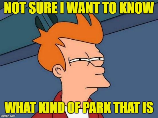 Futurama Fry Meme | NOT SURE I WANT TO KNOW WHAT KIND OF PARK THAT IS | image tagged in memes,futurama fry | made w/ Imgflip meme maker