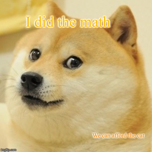 Doge Meme | I did the math; We can afford the cat | image tagged in memes,doge | made w/ Imgflip meme maker