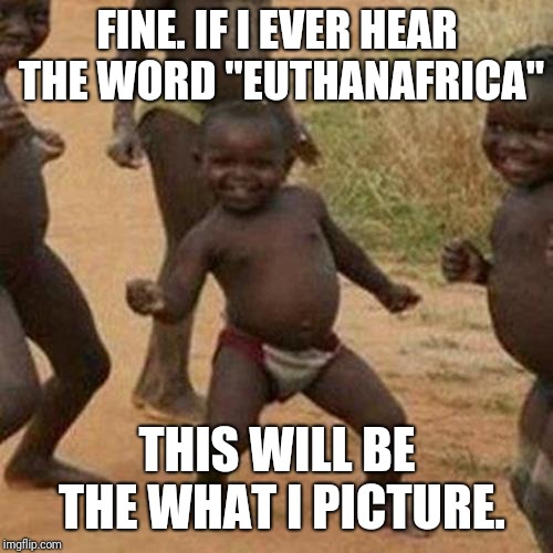 FINE. IF I EVER HEAR THE WORD "EUTHANAFRICA" THIS WILL BE THE WHAT I PICTURE. | image tagged in memes,third world success kid | made w/ Imgflip meme maker