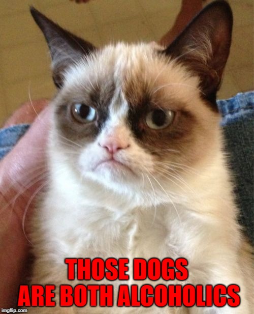 Grumpy Cat Meme | THOSE DOGS ARE BOTH ALCOHOLICS | image tagged in memes,grumpy cat | made w/ Imgflip meme maker