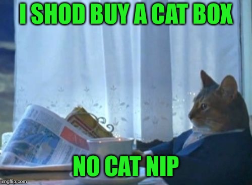 I Should Buy A Boat Cat | I SHOD BUY A CAT BOX; NO CAT NIP | image tagged in memes,i should buy a boat cat | made w/ Imgflip meme maker