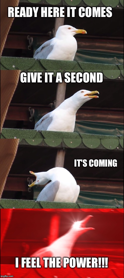 Inhaling Seagull Meme | READY HERE IT COMES; GIVE IT A SECOND; IT'S COMING; I FEEL THE POWER!!! | image tagged in memes,inhaling seagull | made w/ Imgflip meme maker