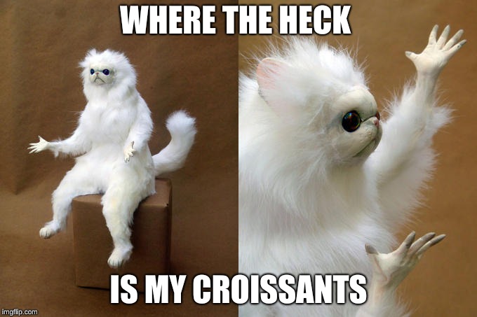Persian Cat Room Guardian Meme | WHERE THE HECK; IS MY CROISSANTS | image tagged in memes,persian cat room guardian | made w/ Imgflip meme maker