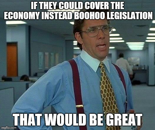 That Would Be Great | IF THEY COULD COVER THE ECONOMY INSTEAD BOOHOO LEGISLATION; THAT WOULD BE GREAT | image tagged in memes,that would be great | made w/ Imgflip meme maker