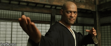 image tagged in gifs | made w/ Imgflip video-to-gif maker