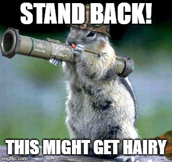 Bazooka Squirrel |  STAND BACK! THIS MIGHT GET HAIRY | image tagged in memes,bazooka squirrel | made w/ Imgflip meme maker