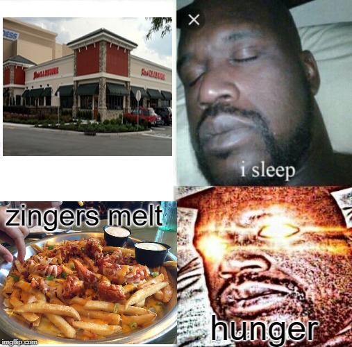 Sleeping Shaq Meme | hunger; zingers melt | image tagged in memes,sleeping shaq | made w/ Imgflip meme maker