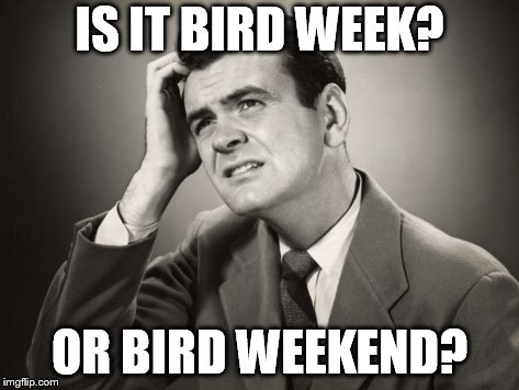 IS IT BIRD WEEK? OR BIRD WEEKEND? | made w/ Imgflip meme maker