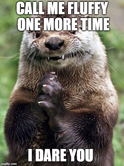 Evil Otter | CALL ME FLUFFY ONE MORE TIME; I DARE YOU | image tagged in memes,evil otter | made w/ Imgflip meme maker