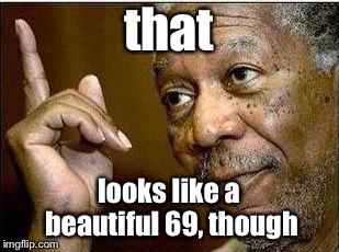 He's Right | that looks like a beautiful 69, though | image tagged in he's right | made w/ Imgflip meme maker