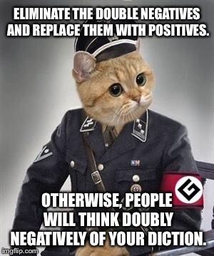 Double Negatives are annoying | ELIMINATE THE DOUBLE NEGATIVES AND REPLACE THEM WITH POSITIVES. OTHERWISE, PEOPLE WILL THINK DOUBLY NEGATIVELY OF YOUR DICTION. | image tagged in grammar nazi cat,memes,talk,positive,double,advice | made w/ Imgflip meme maker