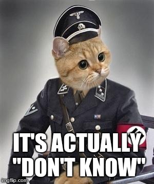 Grammar Nazi Cat | IT'S ACTUALLY "DON'T KNOW" | image tagged in grammar nazi cat | made w/ Imgflip meme maker