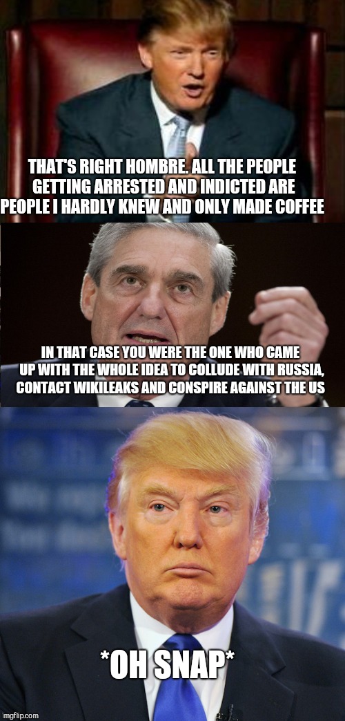 This orange traitor should hang  | THAT'S RIGHT HOMBRE. ALL THE PEOPLE GETTING ARRESTED AND INDICTED ARE PEOPLE I HARDLY KNEW AND ONLY MADE COFFEE; IN THAT CASE YOU WERE THE ONE WHO CAME UP WITH THE WHOLE IDEA TO COLLUDE WITH RUSSIA, CONTACT WIKILEAKS AND CONSPIRE AGAINST THE US; *OH SNAP* | image tagged in memes,donald trump,idiots,robert mueller,trump russia collusion,gop hypocrite | made w/ Imgflip meme maker