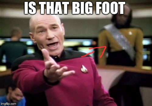 Picard Wtf | IS THAT BIG FOOT | image tagged in memes,picard wtf | made w/ Imgflip meme maker
