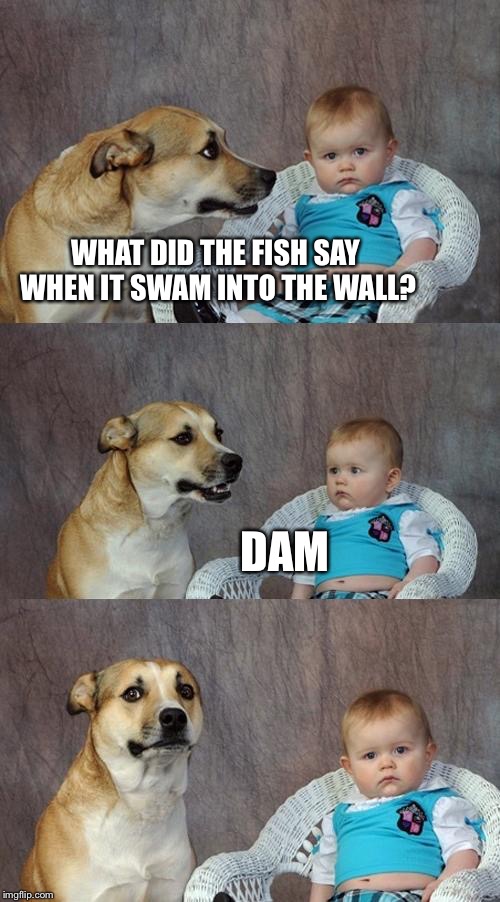 Dad Joke Dog Meme | WHAT DID THE FISH SAY WHEN IT SWAM INTO THE WALL? DAM | image tagged in memes,dad joke dog | made w/ Imgflip meme maker