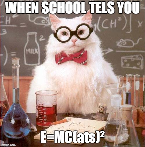 Science Cat | WHEN SCHOOL TELS YOU; E=MC(ats)² | image tagged in science cat | made w/ Imgflip meme maker