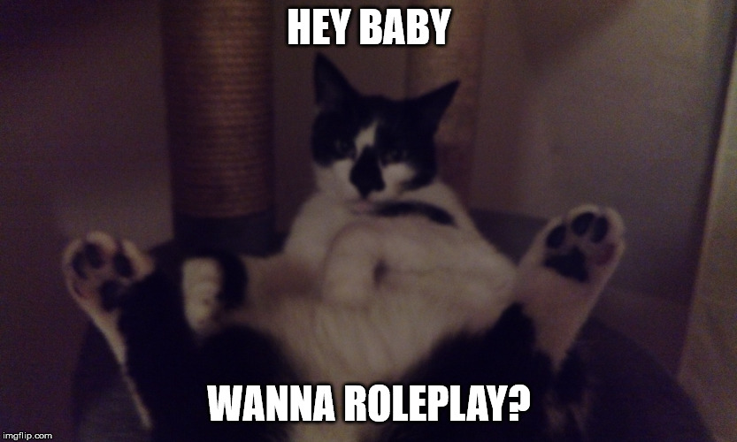 HEY BABY; WANNA ROLEPLAY? | image tagged in cats | made w/ Imgflip meme maker