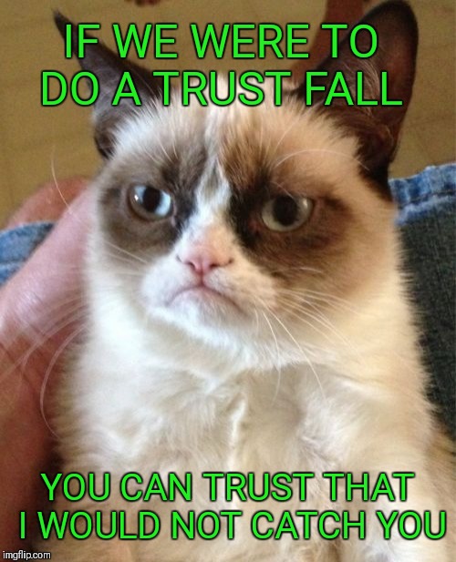 Grumpy Cat | IF WE WERE TO DO A TRUST FALL; YOU CAN TRUST THAT I WOULD NOT CATCH YOU | image tagged in memes,grumpy cat,funny,trust fall | made w/ Imgflip meme maker