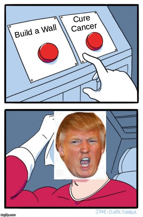 Two Buttons Meme | Cure  Cancer; Build a Wall | image tagged in memes,two buttons | made w/ Imgflip meme maker