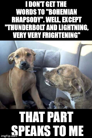 I DON'T GET THE WORDS TO "BOHEMIAN RHAPSODY". WELL, EXCEPT "THUNDERBOLT AND LIGHTNING, VERY VERY FRIGHTENING"; THAT PART SPEAKS TO ME | image tagged in two dogs | made w/ Imgflip meme maker