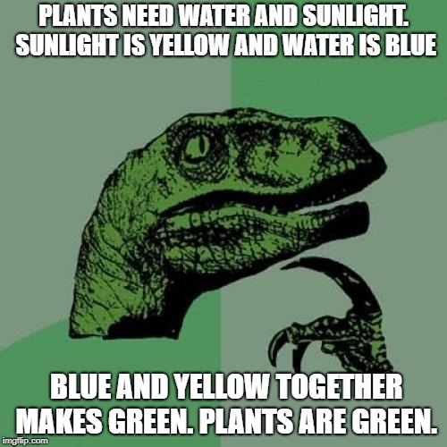Philosoraptor | PLANTS NEED WATER AND SUNLIGHT. SUNLIGHT IS YELLOW AND WATER IS BLUE; BLUE AND YELLOW TOGETHER MAKES GREEN. PLANTS ARE GREEN. | image tagged in memes,philosoraptor | made w/ Imgflip meme maker