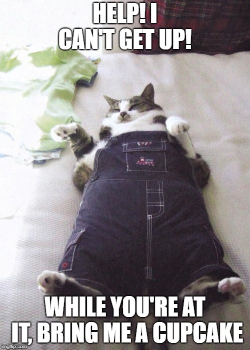 Fat Cat | HELP! I CAN'T GET UP! WHILE YOU'RE AT IT, BRING ME A CUPCAKE | image tagged in memes,fat cat | made w/ Imgflip meme maker