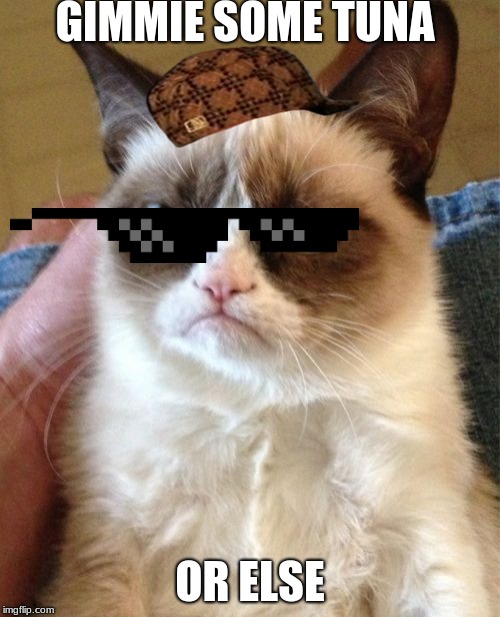 Grumpy Cat | GIMMIE SOME TUNA; OR ELSE | image tagged in memes,grumpy cat | made w/ Imgflip meme maker