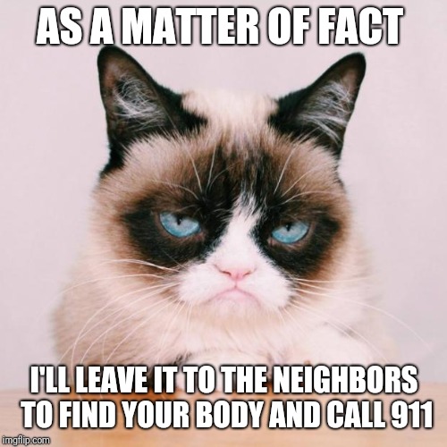 grumpy cat again | AS A MATTER OF FACT I'LL LEAVE IT TO THE NEIGHBORS TO FIND YOUR BODY AND CALL 911 | image tagged in grumpy cat again | made w/ Imgflip meme maker