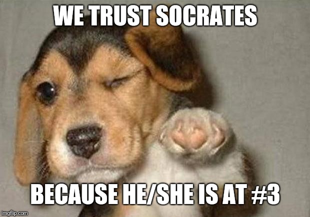 Winking Dog | WE TRUST SOCRATES BECAUSE HE/SHE IS AT #3 | image tagged in winking dog | made w/ Imgflip meme maker